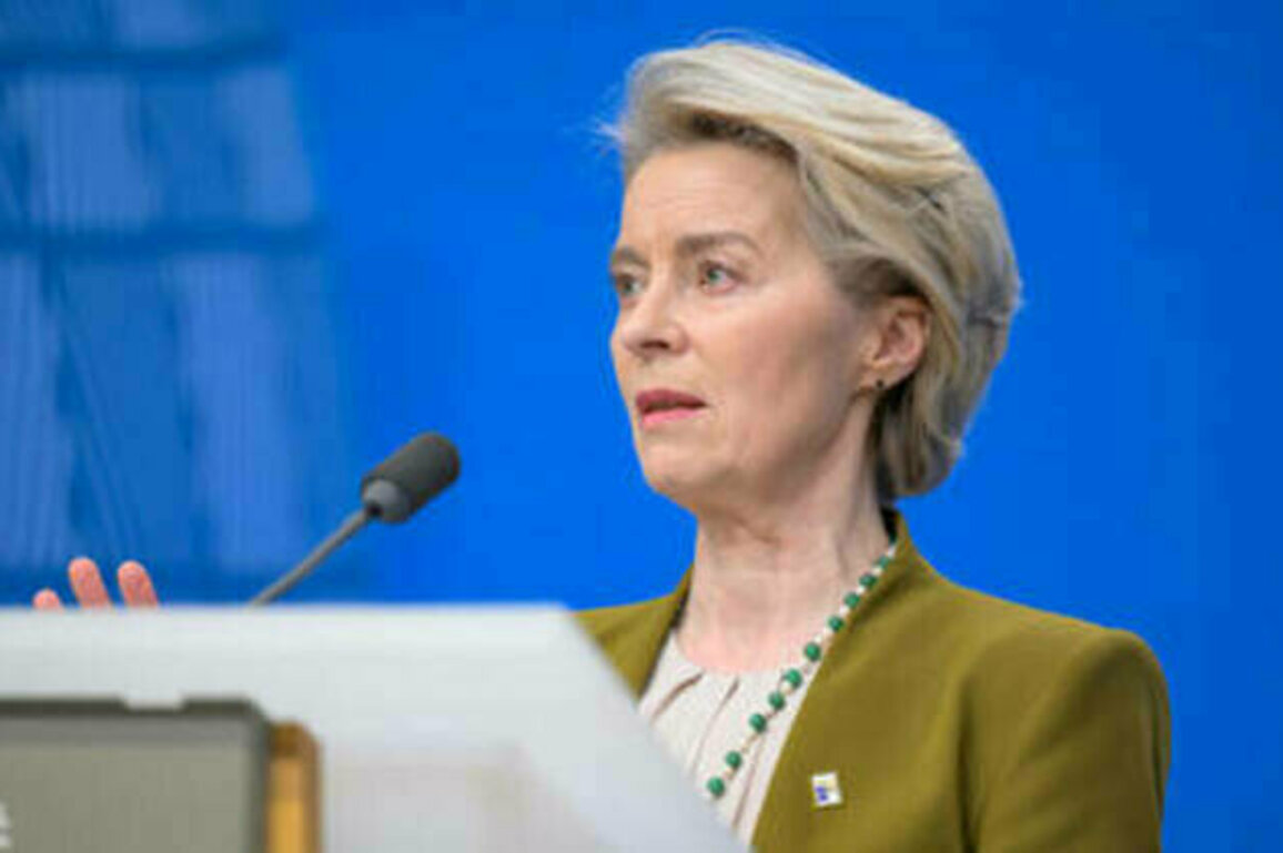EU 'rearmament' plan meets resistance over debt concerns - Politico