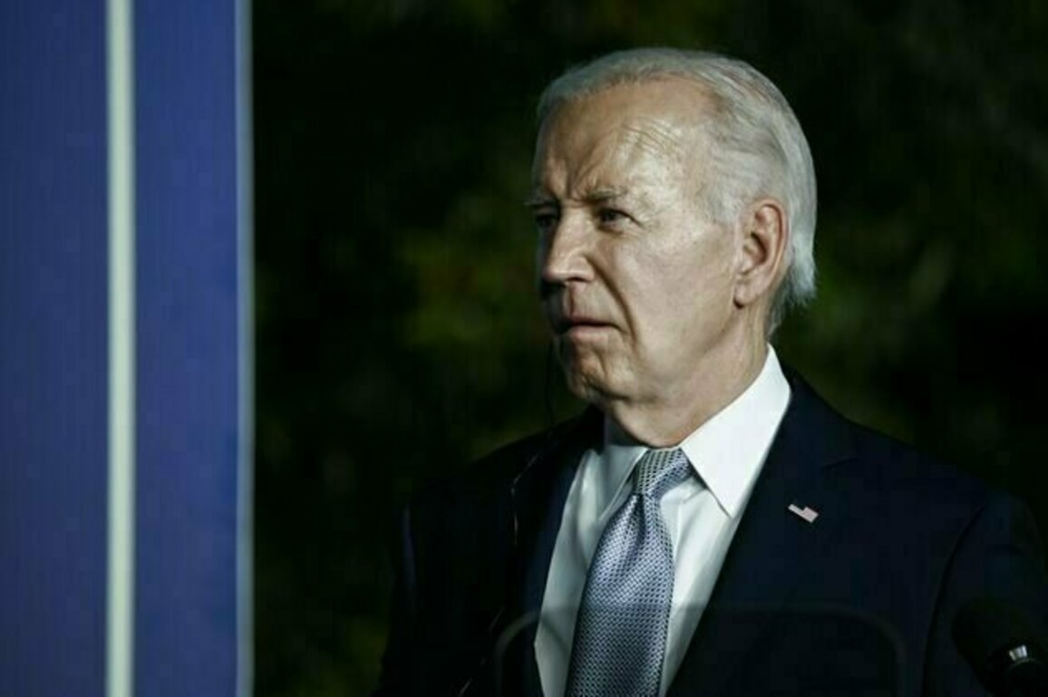 'He'd only have to show proof of life once in a while': Joe Biden's advisors hid his decline - and the media didn't dig hard enough