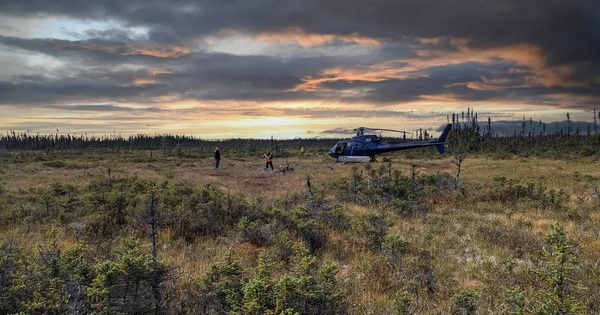 Pivotal uncovers overlooked bonanza gold