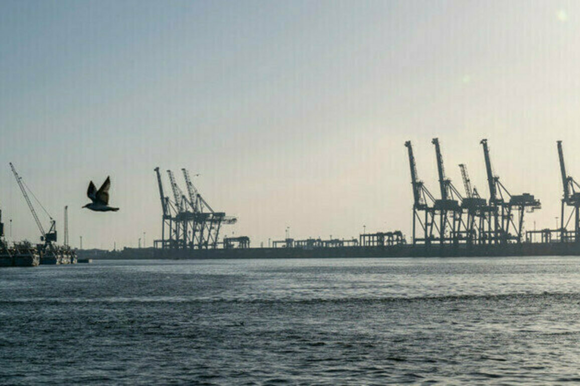 Global trade hub seeking Russia partnership  media