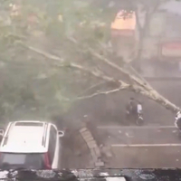 Strong typhoon brings floods to Beijing