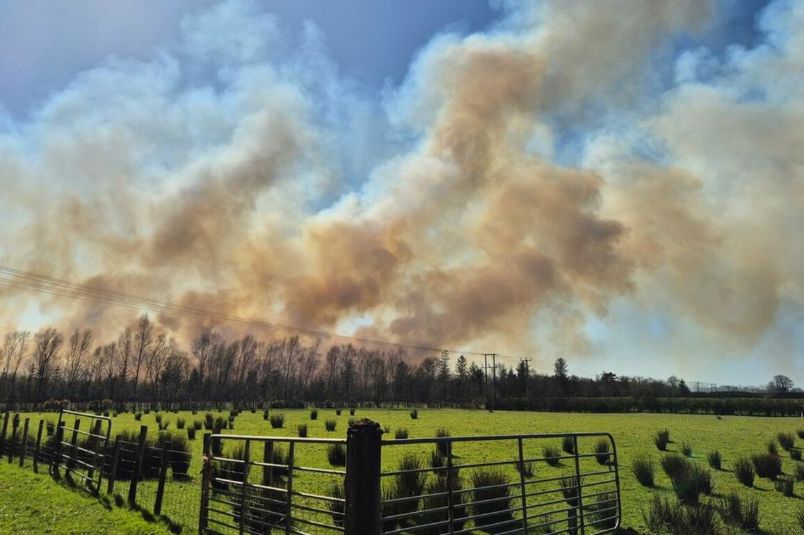 Co Antrim wildfire live updates as 40 firefighters tackle blaze involving forestry