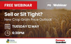 Sign up for our FREE webinar: Sell or sit tight? New crop grain price outlook