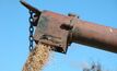 Calls for grain companies to offer advance packages