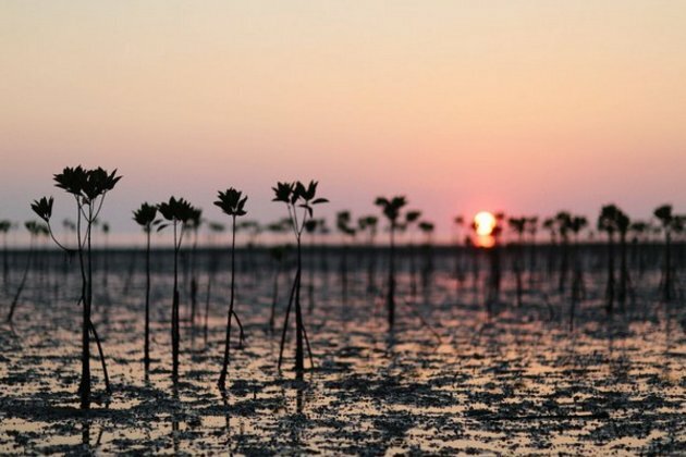IMD, Japanese govt, UNDP launch joint project to accelerate climate action in India