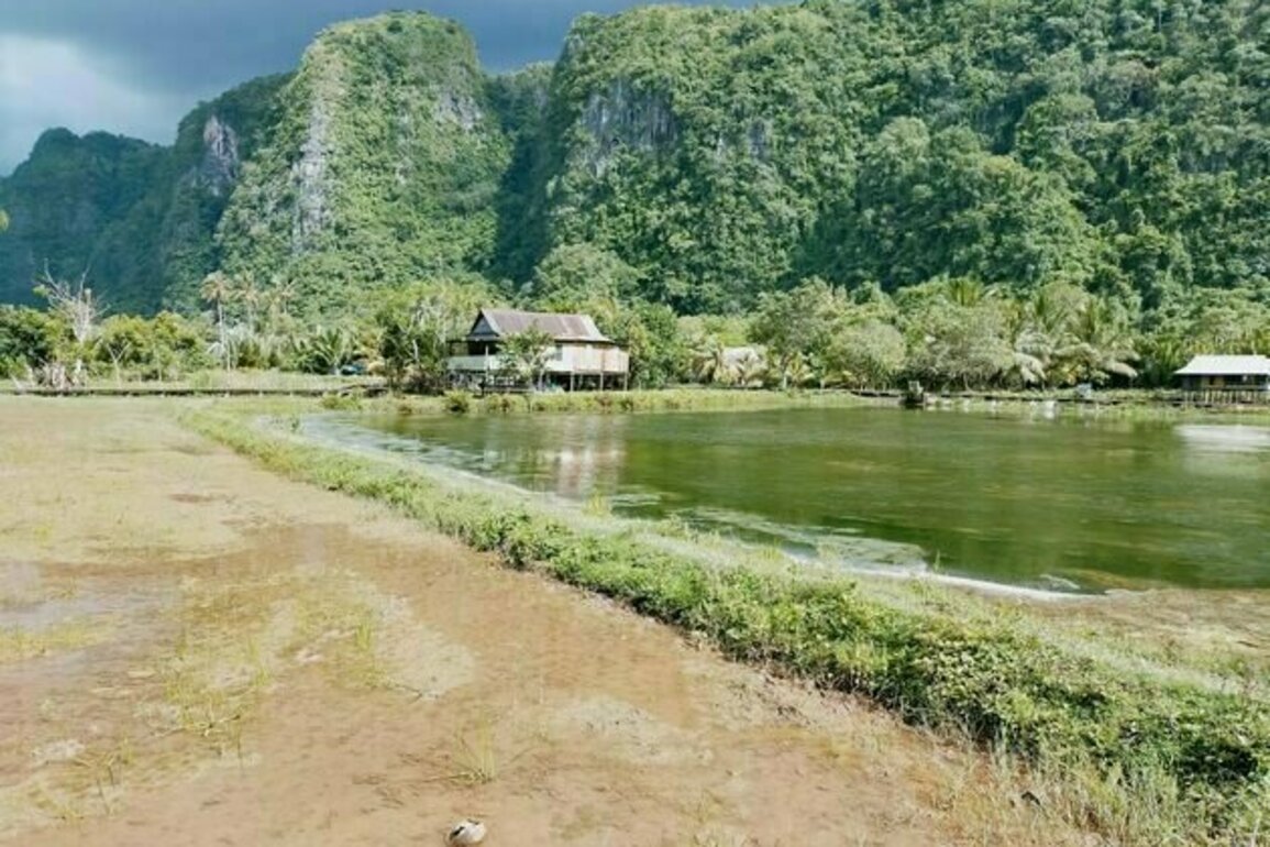 No land, no future: The dilemma facing rural youth in Indonesia