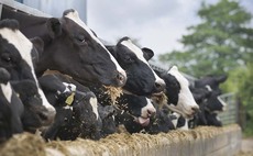 Dairy farmers must speak up about labour shortages or risk Government inaction