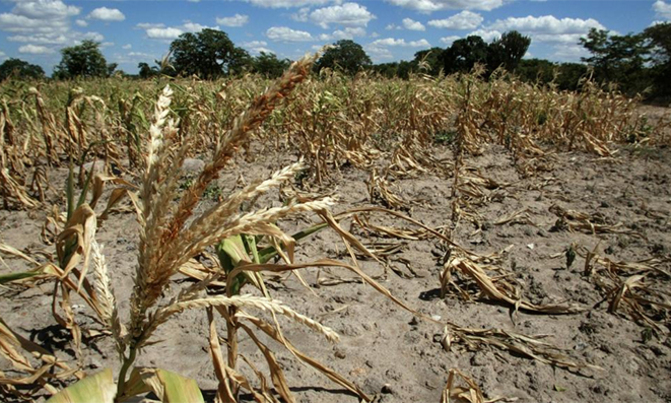 UPC calls for interventions on climate change UPC calls for interventions on climate change
