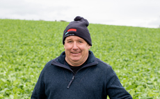 Brassicas for sheep: Powys farmer reveals costs, yields and grazing tips