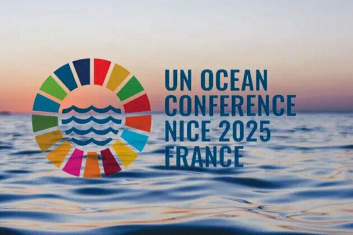 18 New Countries Ratify High Seas Treaty at 2025 UN Ocean Conference