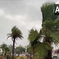 Uttar Pradesh: Light rain, gusty winds bring respite from scorching heat in Ayodhya