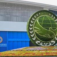 Column: China's cooperation-based security approach holds practical significance amid global instability