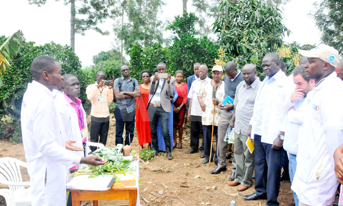 120 youth get skills in agriculture 120 youth get skills in agriculture