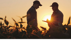 Half of farmers still have no succession plan