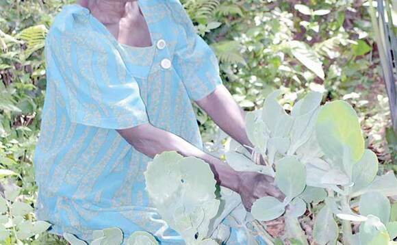 Nnaalongo Aisha Nanfuka ng’anoga ekiyondo ekyeru. Nnaalongo Aisha Nanfuka ng’anoga ekiyondo ekyeru.