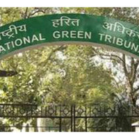 NGT treats CAQM closure order as interim, allows Mother Dairy Pilkhuwa plant to operate pending fresh decision