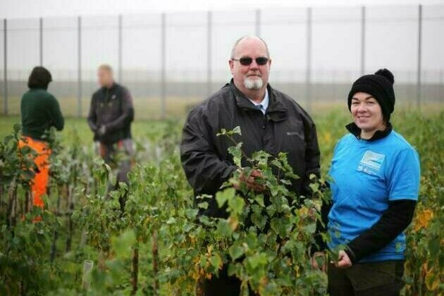 Magilligan Prison tree nursery locked into protecting Irish woodland