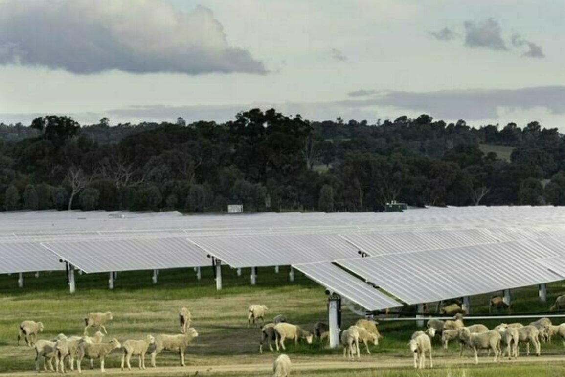 Battle for the bush? Ignore the noise -most farmers like renewables