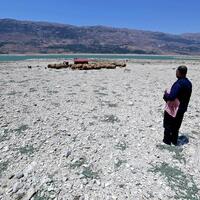 Adapting to extremes -- Lebanon's farmers battle heat and drought