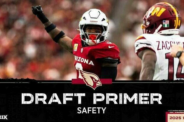 Draft Primer 2025: Safety