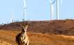 File photo: onshore wind turbines in an Australian setting 