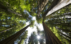 Could a standards shake-up restore confidence in the 'stalled' carbon market?