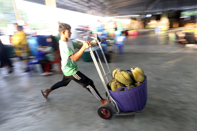 THAILAND-CHANTHABURI-DURIANS