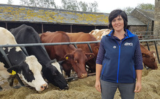 Farming Matters: Abi Reader - "All this would leave anyone wondering what actual farming does Wales want?"