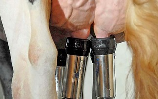 Environmental mastitis: Control and prevention