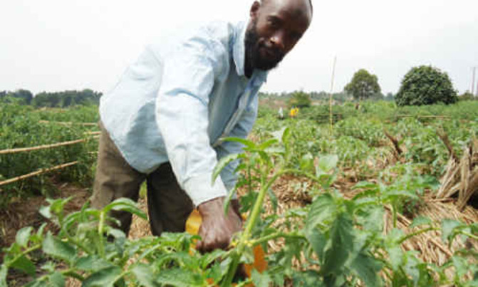Monetise rural Bugisu for development Monetise rural Bugisu for development