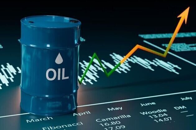 Oil hovers near seven-month highs