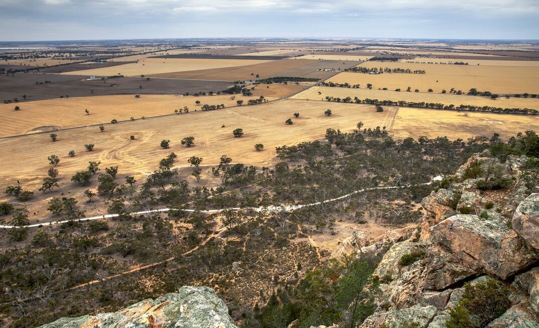 Donald project landscape.