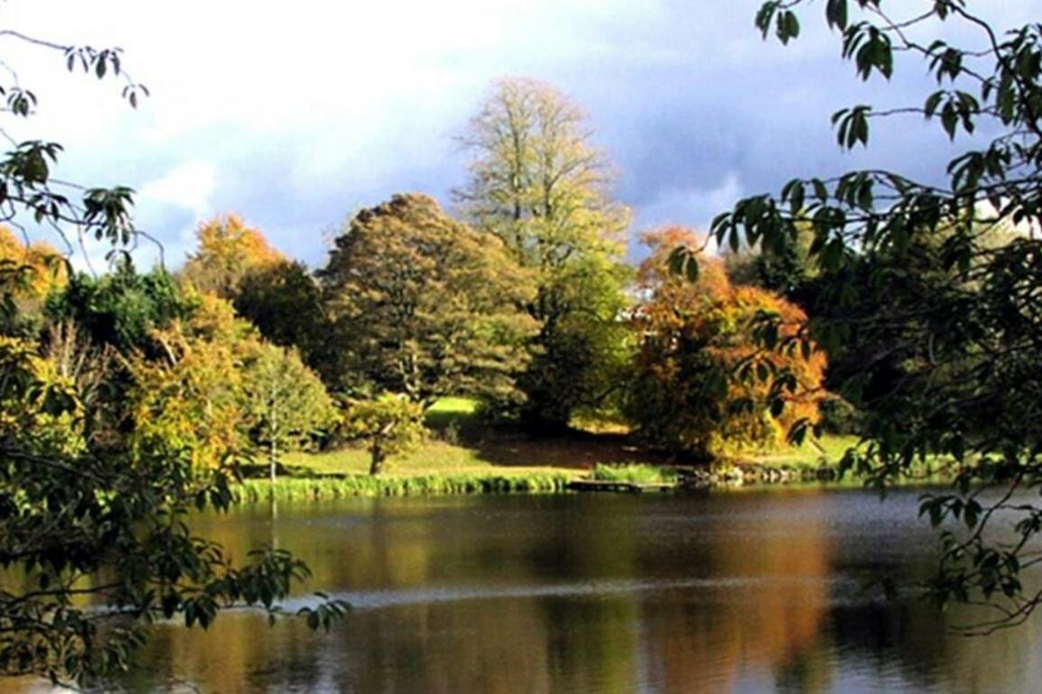 Calls for vigilance after 'suspicious behaviour' in Dungannon Park