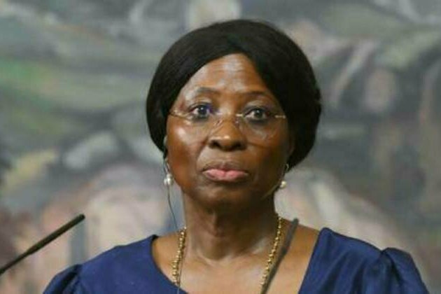 Everything stolen from Africa must be returned - Mozambican FM