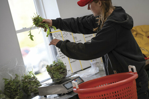 Emerging food systems- Cultivating self-reliance and cooperation