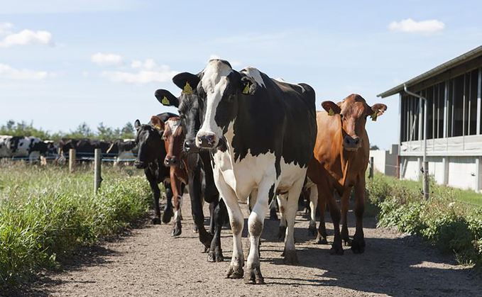 £2.4bn investment needed in UK dairy by 2030