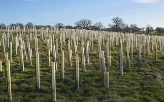 Government unveils tree-planting taskforce