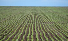 Australian engineers and scientists are working on developing new systems for manufacturing urea.