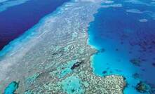 UNESCO calls for pause on coastal development
