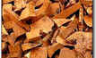 US company moves on EU biomass market