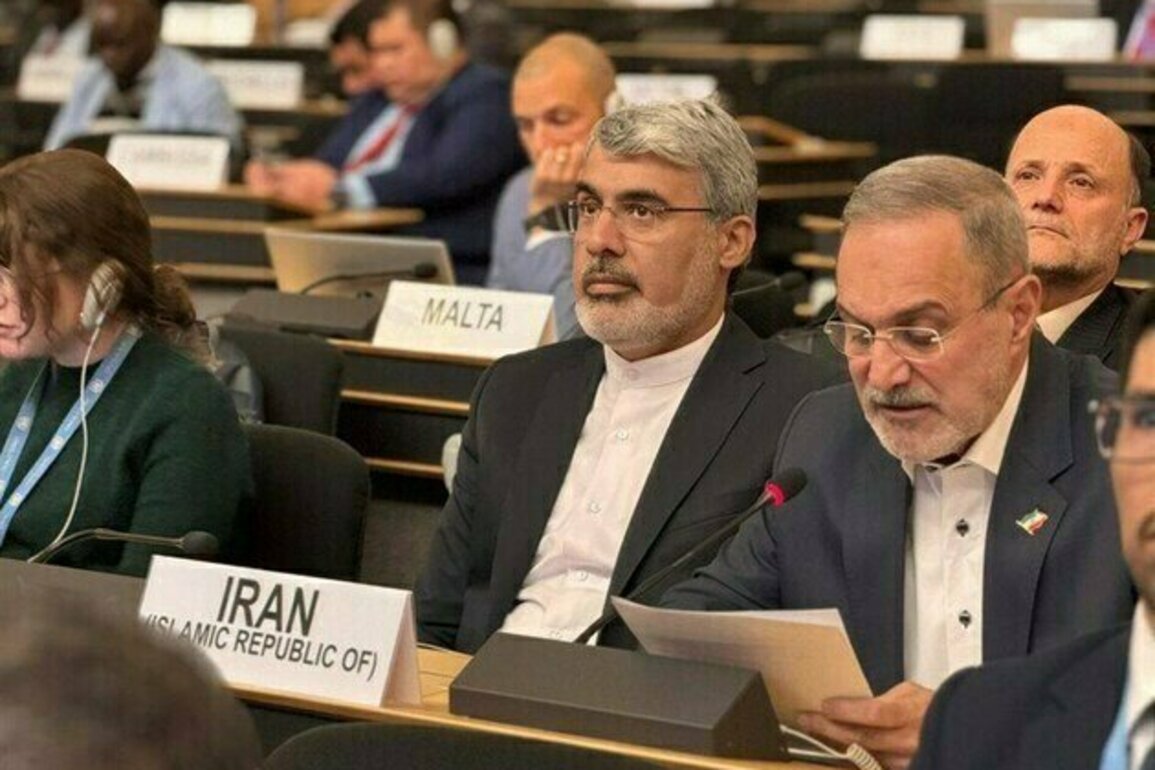 Iran Urges Greater Global Support in Hosting Afghan Refugees