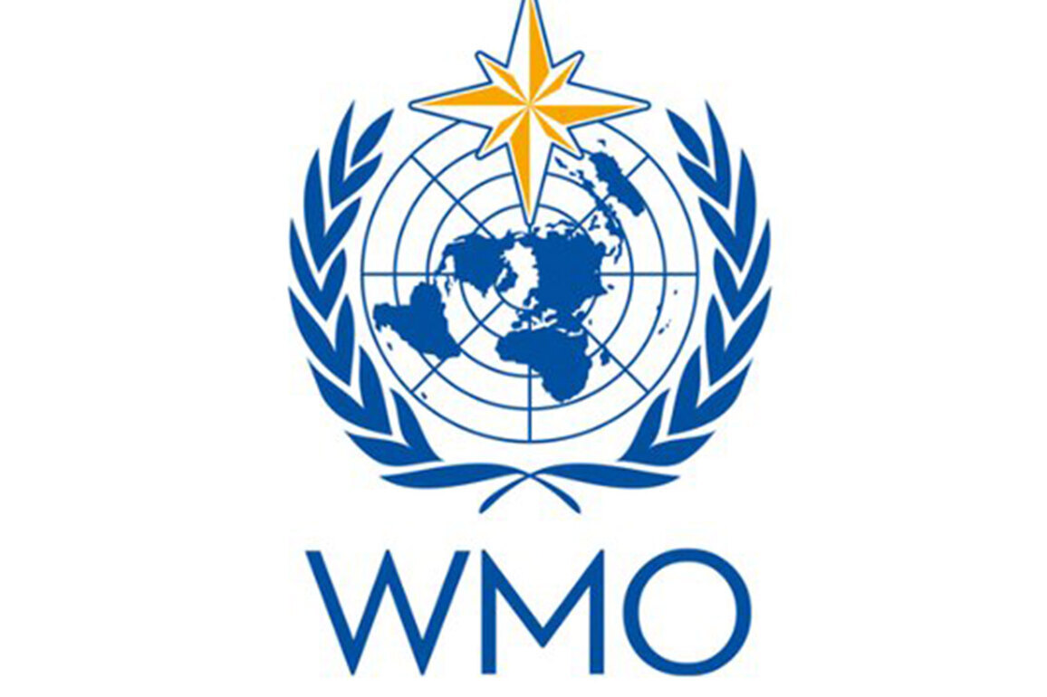 Weather observation key to global economic resilience: WMO President