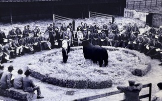Aberdeen-Angus breed looks to the future as it reflects on major milestone