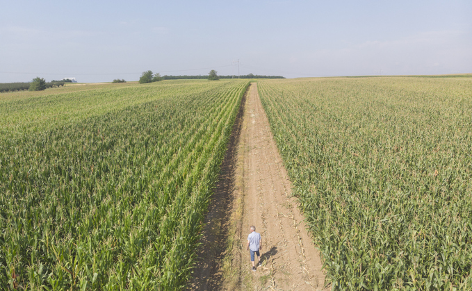 Partner Insight: Early maturing maize maintains sustainable rotation