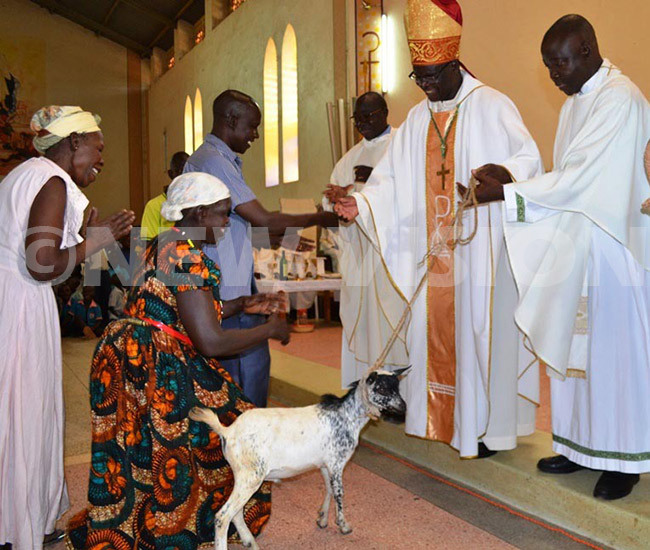  ebbi iocese ishop t ev ino anctus anok receiving goats from hristians during his farewell mass on hursday ope rancis has transferred anok to ira hoto by eneict kethwengu
