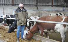 Maize and legumes intercropping boosts home-grown protein on Welsh dairy farm