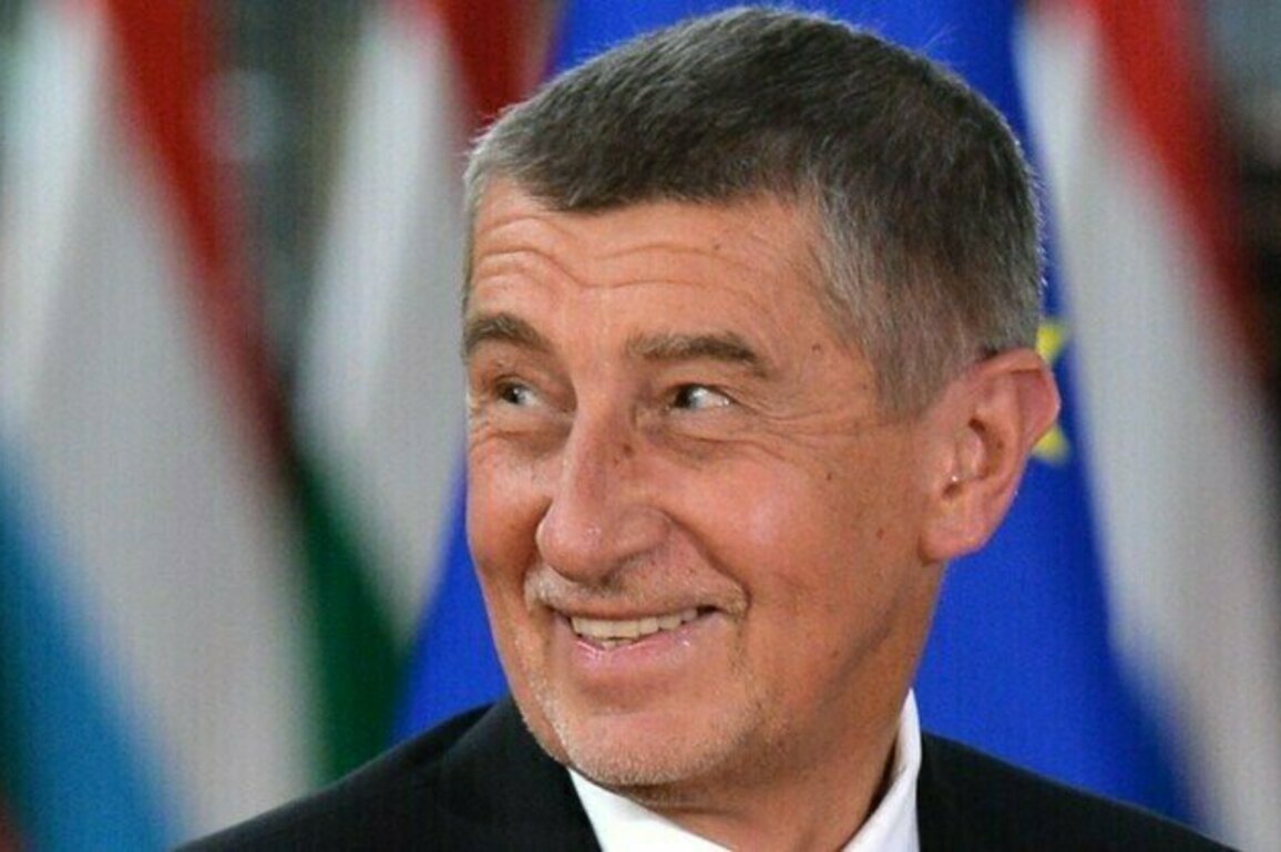 Czech voters chose real nationalism over Brussels dogma
