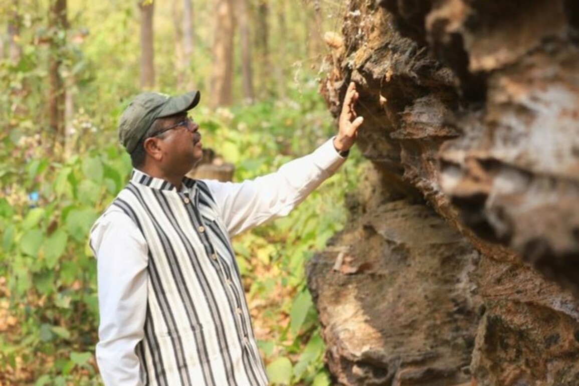 Union Min Dharmendra Pradhan pushes for world-class development of prehistoric 'Bhima Mandali' site