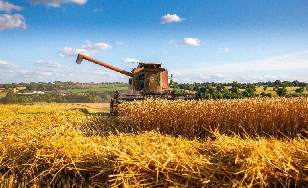Europe has been hit with an intense heatwave, as wheat harvest gets underway. 