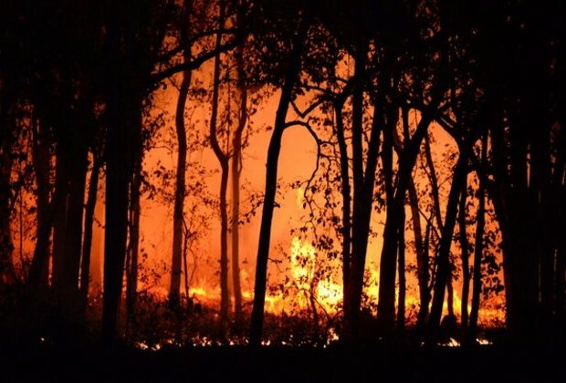 Devastating wildfires in Chile claim over 120 lives, rescue operation underway